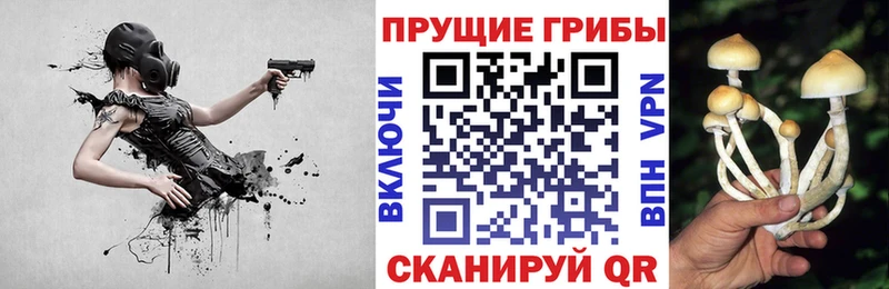 Псилоцибиновые грибы Psilocybine cubensis  цены наркотик  Пионерский 